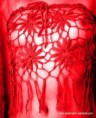 /album/erotik-fotografien/fioruchitop5-jpg-copy-jpg/